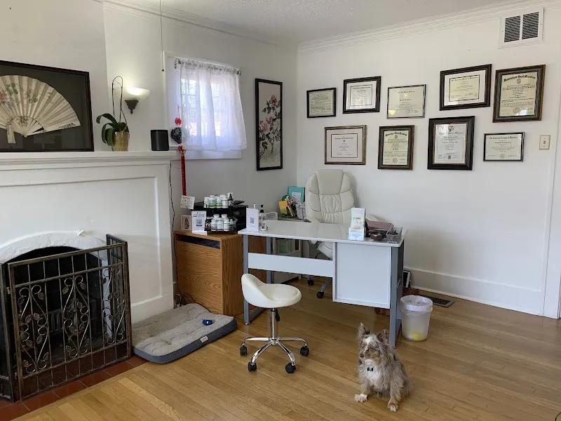 IV therapy at Elite MD - A Boutique Medical Spa in Albuquerque NM