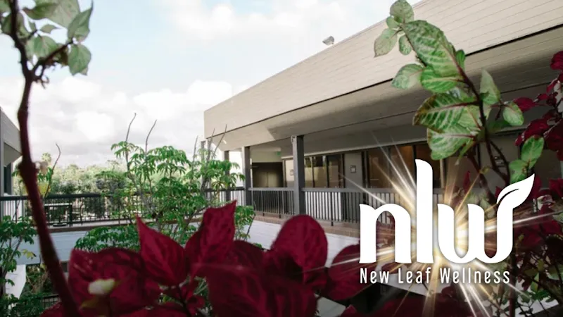 IV therapy at New Leaf Wellness Center in Los Angeles CA