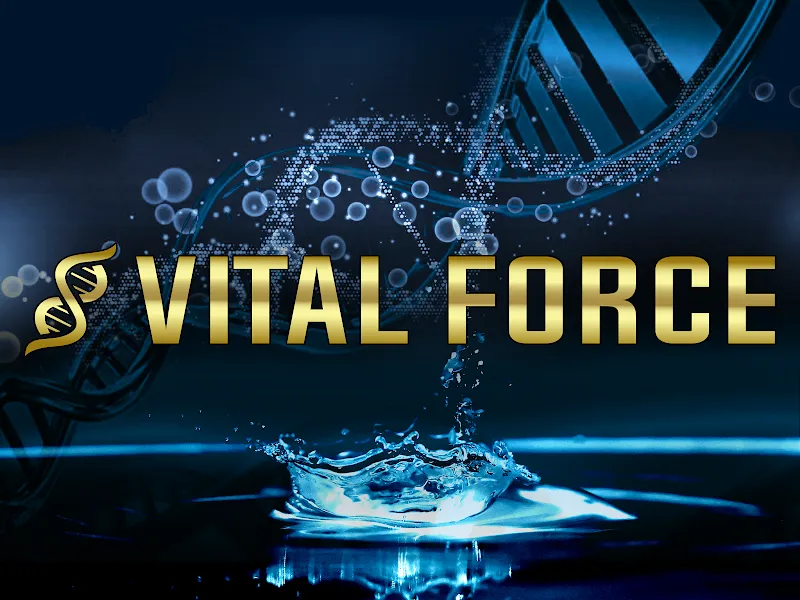 IV therapy at Vital Force Therapy and Wellness in Birmingham AL